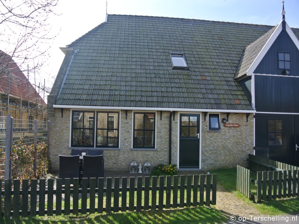 Cupido Oost, Werelderfgoed Waddenzee Terschelling