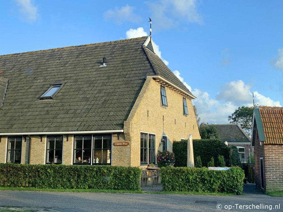 Cupido West, Kerst op Terschelling