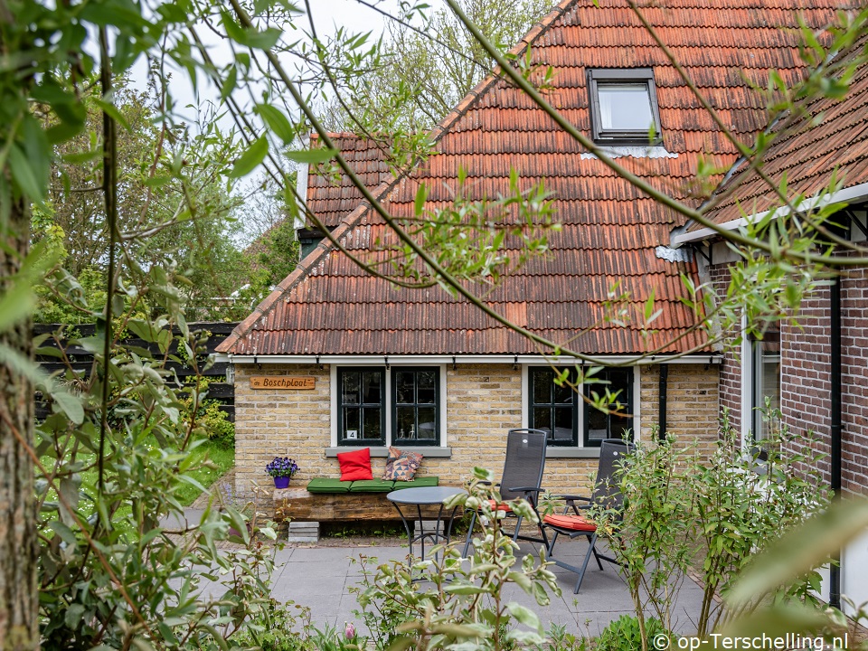 De Boschplaat, Tijdens schoolvakantie naar Terschelling