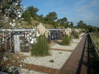 Goudsbloem, Weekend aan Zee