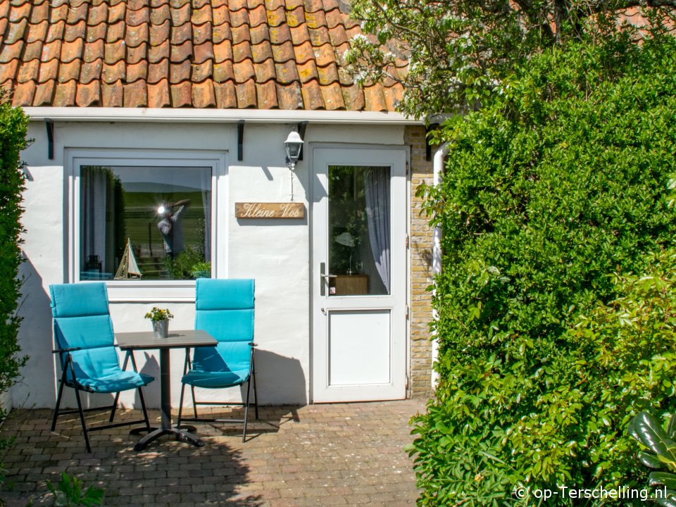 Kleine Vos, Tijdens schoolvakantie naar Terschelling