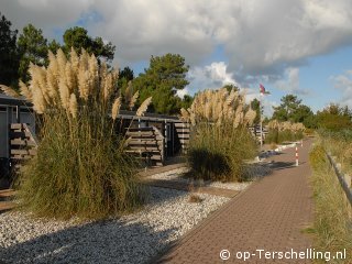 Margriet (West), Werelderfgoed Waddenzee Terschelling