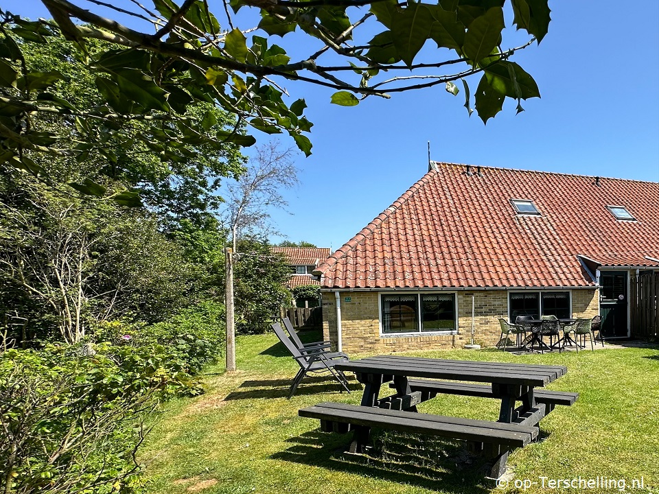 Nien (Lies), Koningsdag op Terschelling