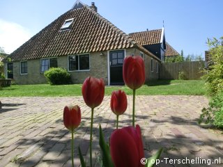 Herberg De Tiling, Naar Terschelling met Hond