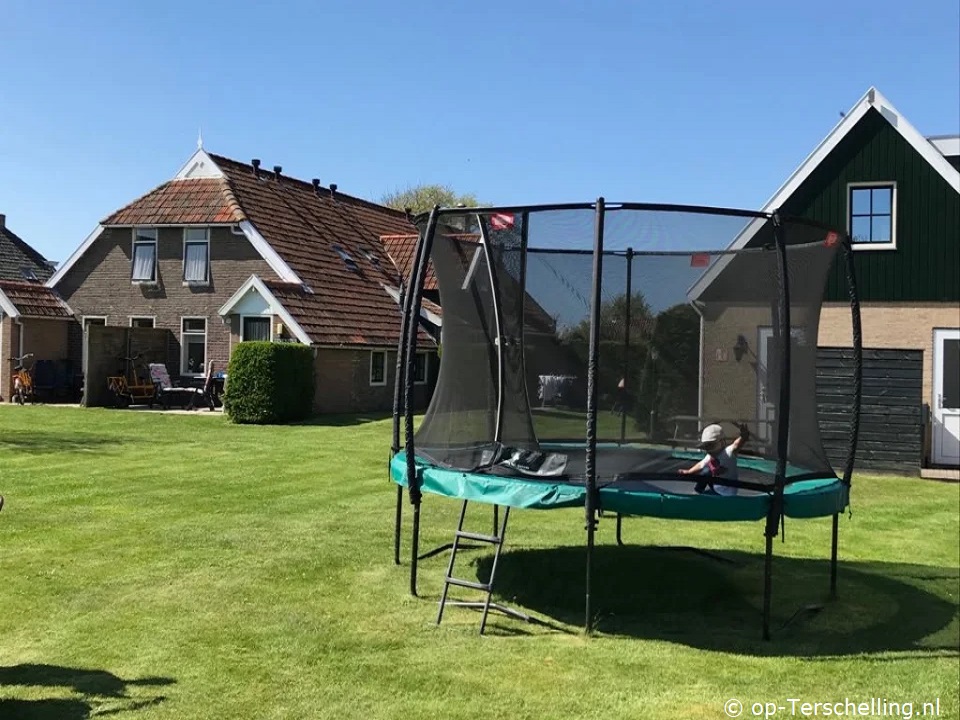 Parnassia, Zevenster, Zonnedauw en Zwanebloem, Vakantieverblijf op Terschelling voor 4 personen