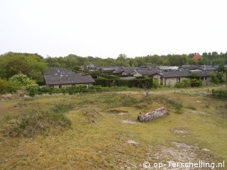 Lavendel (Midsland Noord)