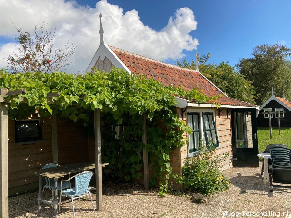 Dotterbloem, Bungalow op Terschelling