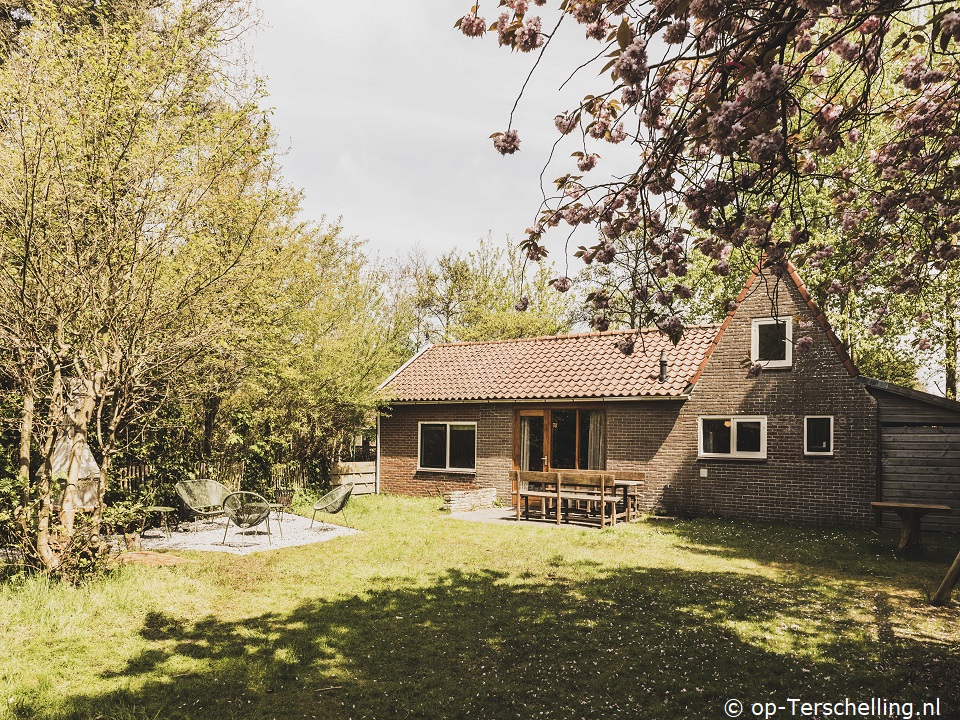 Duinviooltje, Bungalow op Terschelling