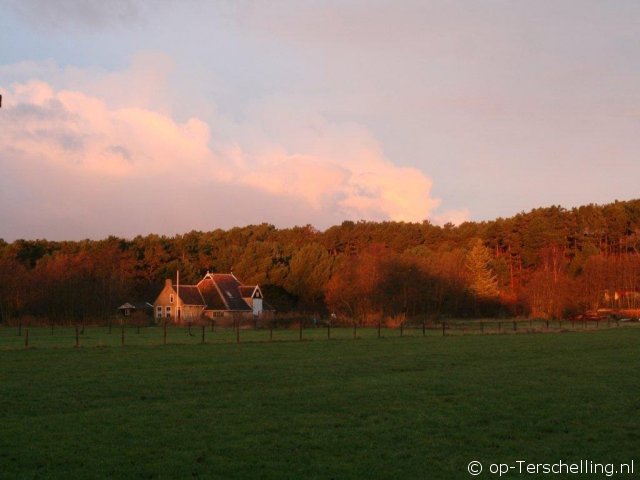 Jansje (Hoorn)