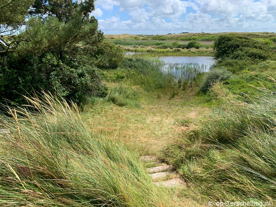 Lobke (Midsland aan Zee)