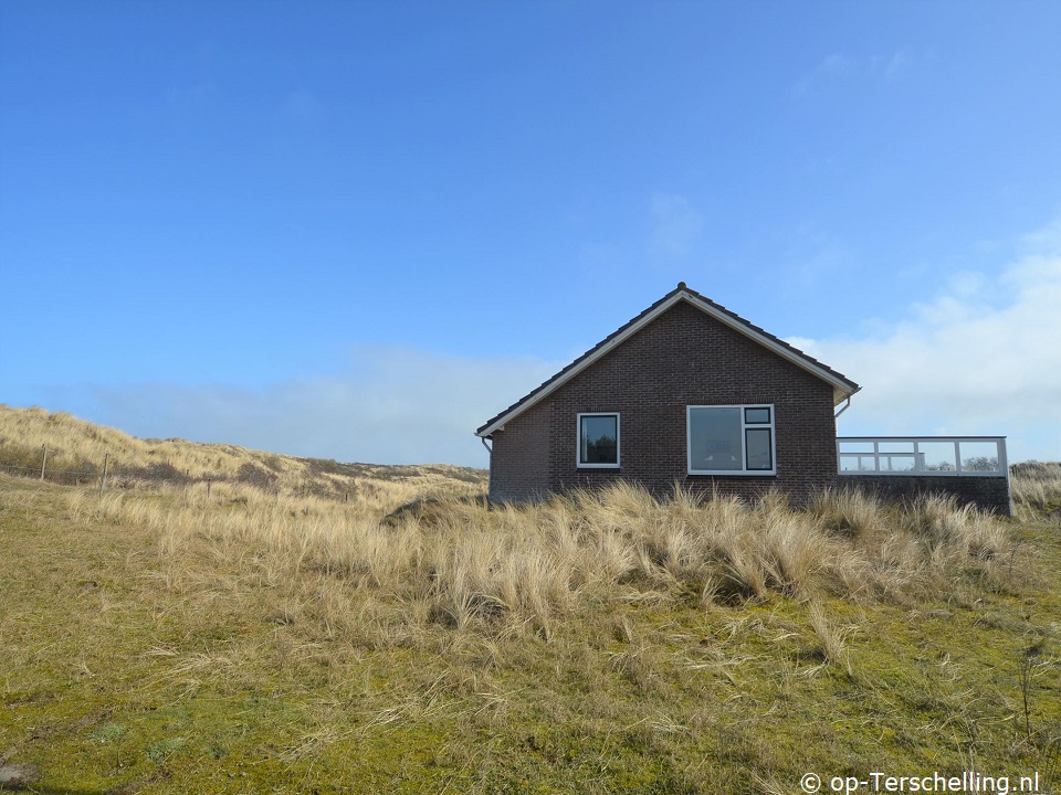 Pirola (Midsland aan Zee)