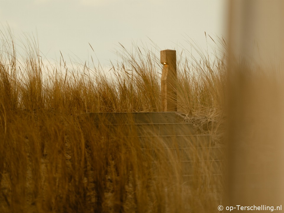 Elements Familie Duin