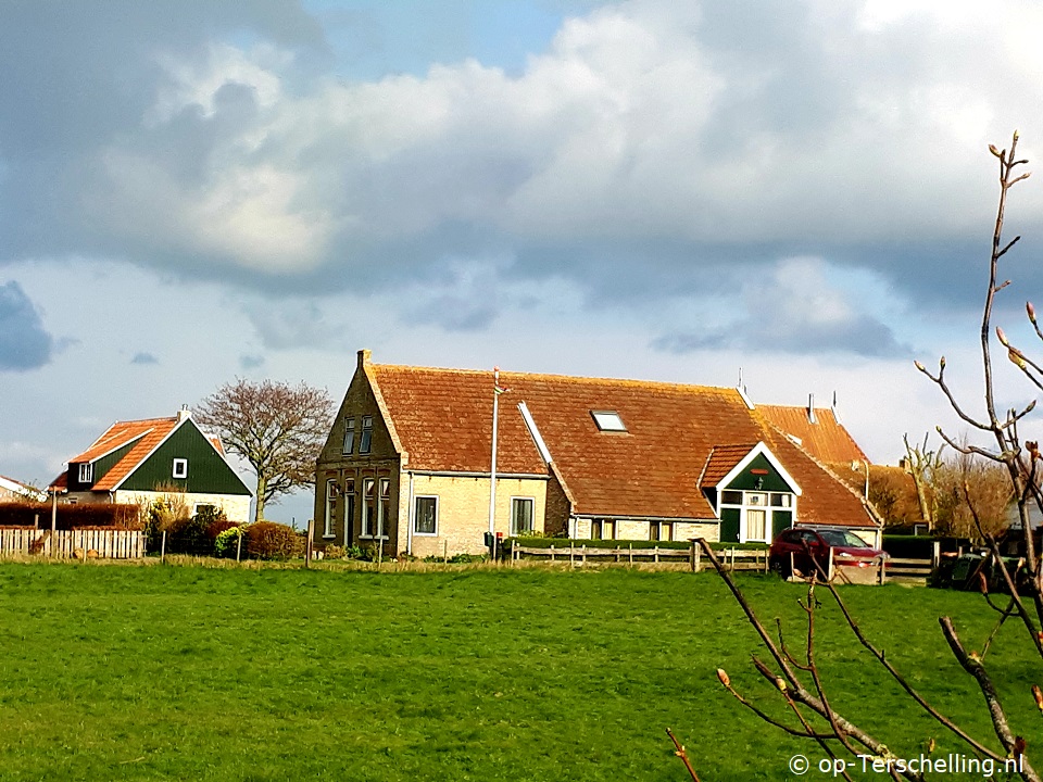 `t Leegwant, Cultuur op Terschelling