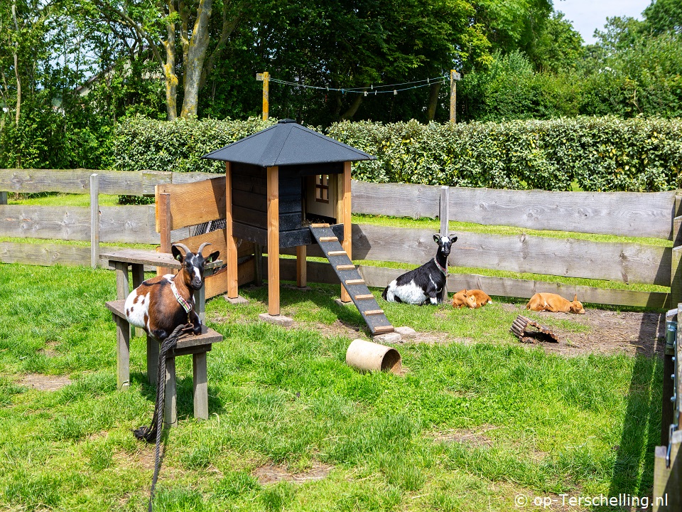 de Terskflier Huize Schouten