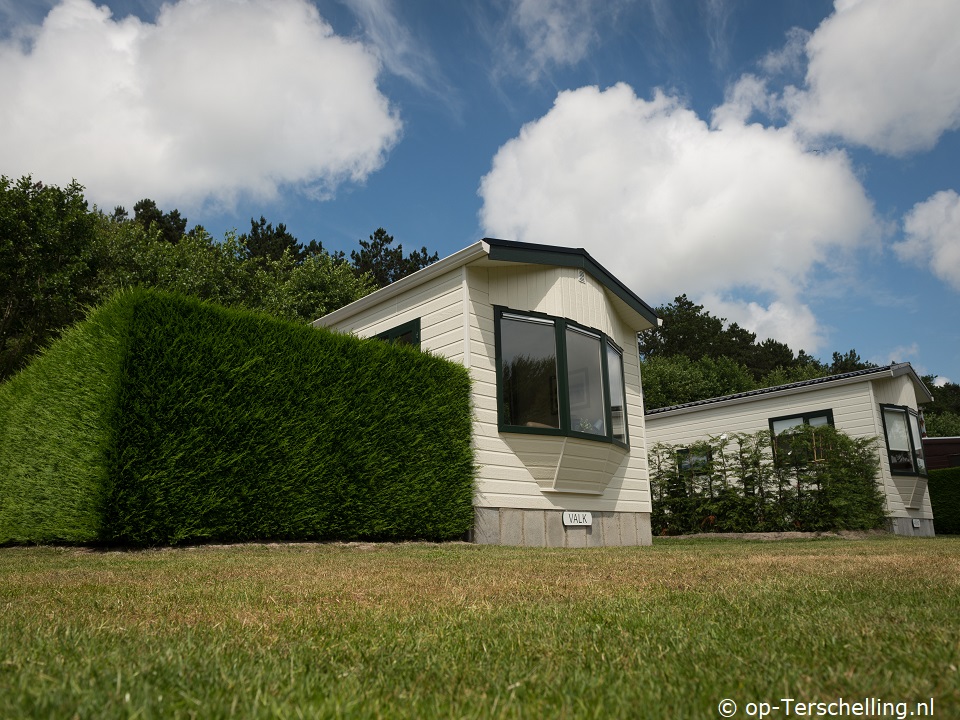 Lastminute Valk (Landzicht)