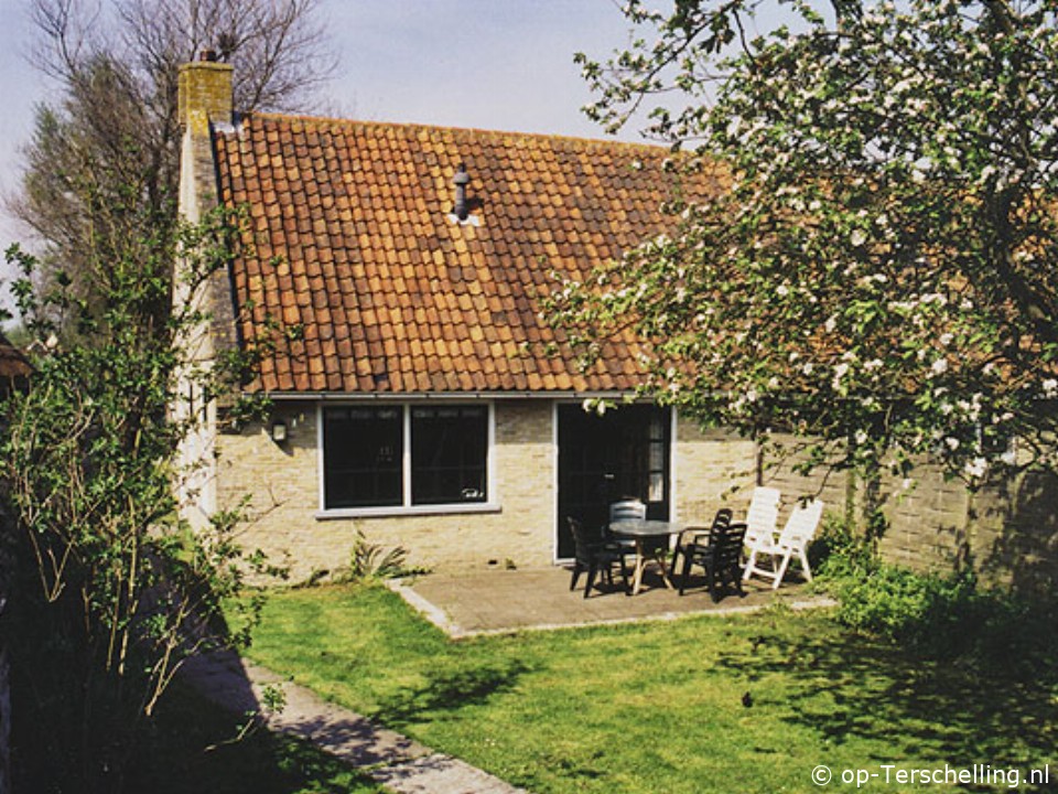 Pinksterblom