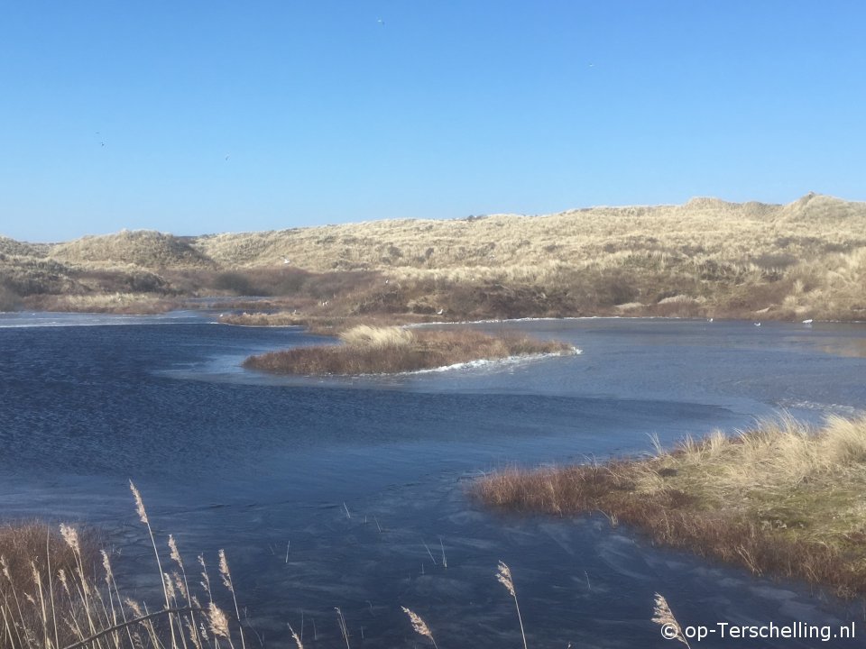 Top (Midsland aan Zee)