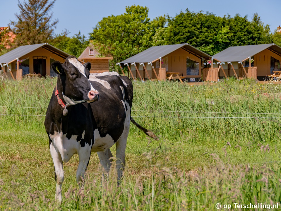 Duotenten op camping Overalwat