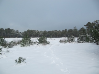 Christmas on Terschelling