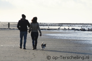 Vakantie op Terschelling met Hond