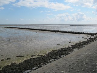 Wadden Sea World Heritage Site Terschelling