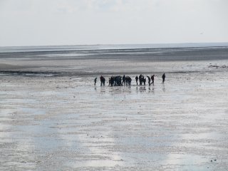 Werelderfgoed Waddenzee Terschelling